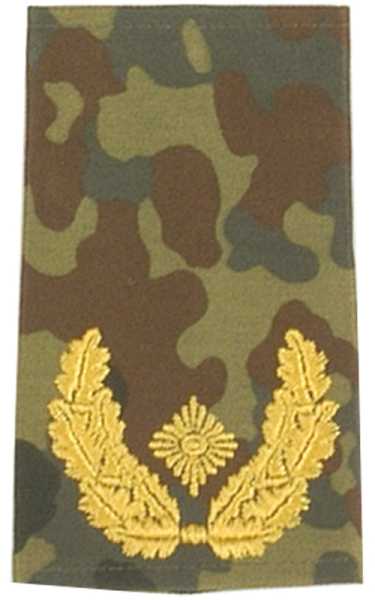 Rangabzeichen, Bw Heer flecktarn/gold Brigade-General