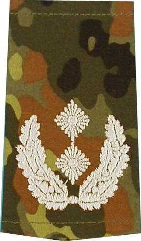 Rangabzeichen, Bw Heer flecktarn/silber Oberstleutnant