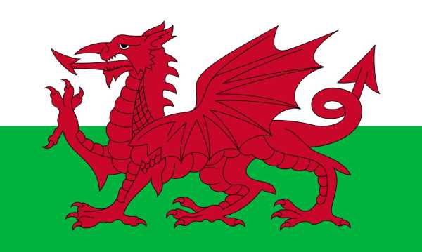 Flagge, Wales neu (90 x 150 cm)