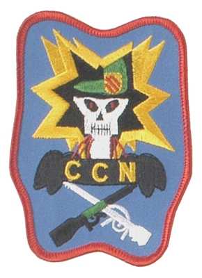 Stoffabzeichen, US Central Commando North