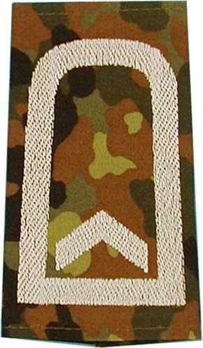 Rangabzeichen, Bw Heer flecktarn/silber FW